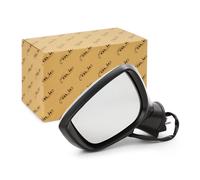 BLIC 5402-14-0770316P Wing mirror