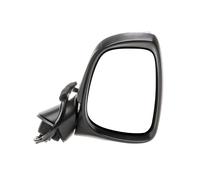 BLIC 5402-14-0770324P Wing mirror