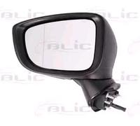 ALKAR 6139664 Wing mirror