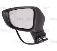 BLIC 5402-14-2001727P Wing mirror