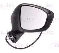 BLIC 5402-14-2001734P Wing mirror