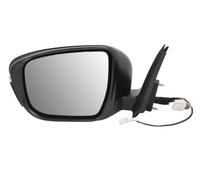 BLIC 5402-16-0967314P Wing mirror