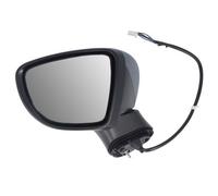 BLIC 5402-16-2104316P Wing mirror