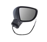 BLIC 5402-16-2104317P Wing mirror