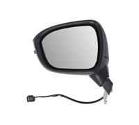 BLIC 5402-16-2384310P Wing mirror