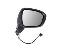 BLIC 5402-16-2384311P Wing mirror