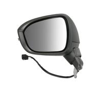 BLIC 5402-16-2384312P Wing mirror