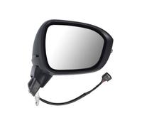 BLIC 5402-16-2384313P Wing mirror