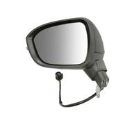BLIC 5402-16-2384314P Wing mirror