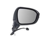 BLIC 5402-16-2384315P Wing mirror