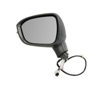 BLIC 5402-16-2556310P Wing mirror