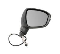BLIC 5402-16-2556311P Wing mirror