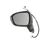 BLIC 5402-16-2556312P Wing mirror