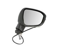 BLIC 5402-16-2556313P Wing mirror