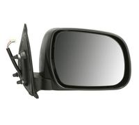 BLIC 5402-19-2002481P Wing mirror