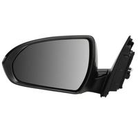 BLIC 5402-20-1966318P Wing mirror