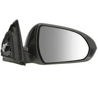 BLIC 5402-20-1966321P Wing mirror