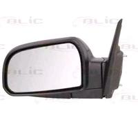 BLIC 5402-20-2001377P Wing mirror