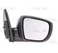 BLIC 5402-20-2001424P Wing mirror