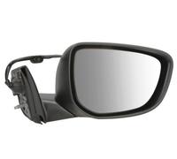 BLIC 5402-21-0204313P Wing mirror