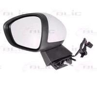TYC 305-0176 Wing mirror