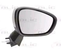 BLIC 5402-21-042362P Wing mirror