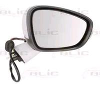 BLIC 5402-21-044372P Wing mirror