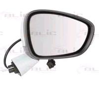 BLIC 5402-21-044374P Wing mirror
