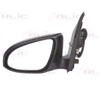 BLIC 5402-21-045365P Wing mirror