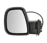 BLIC 5402-21-2194310P Wing mirror