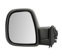 BLIC 5402-21-2194314P Wing mirror
