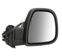 BLIC 5402-21-2194319P Wing mirror