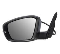 BLIC 5402-43-1923310P Wing mirror