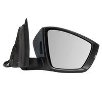 BLIC 5402-43-1925323P Wing mirror