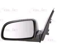 BLIC 5402-56-005365P Wing mirror