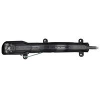 BLIC 5403-21-0069105P Side indicator