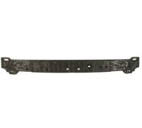 BLIC 5502-00-0030944P Impact Absorber, bumper