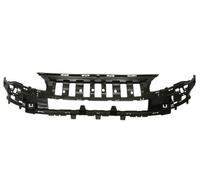 BLIC 5502-00-0552942P Support, bumper for CITROËN