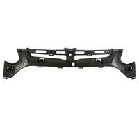 BLIC 5502-00-2522940P Support, bumper for FORD