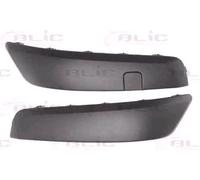 BLIC 5510-00-6042923P Bumper moulding
