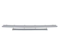 BLIC 5511-00-0045220Q Front splitter