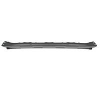 BLIC 5511-00-0097226P Bumper moulding