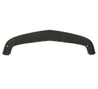 BLIC 5511-00-0950225P Bumper moulding