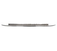 BLIC 5511-00-2013974P Bumper moulding