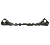 BLIC 5511-00-8103221P Bumper moulding