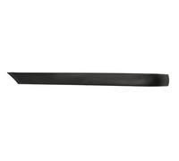 BLIC 5513-00-0060971MP Bumper moulding