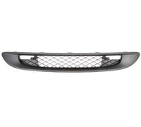 BLIC 5601-00-3502992P Radiator Grille for SMART