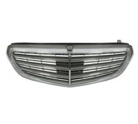BLIC 5601-00-3529992Q Radiator Grille for MERCEDES-BENZ