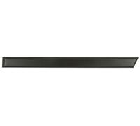 BLIC 5703-04-0060573MP Door moulding trim