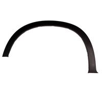 BLIC 5703-04-0096421P Trim/Protective Strip, wing for BMW